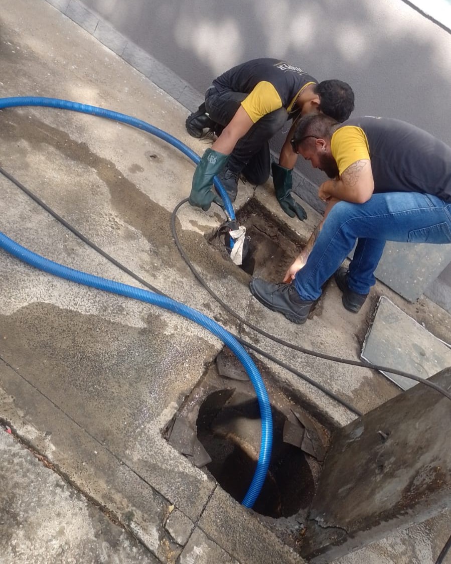 DD.Imper Controle de Pragas - Serviço 3