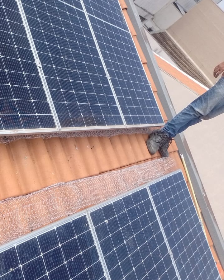 DD.Imper Controle de Pragas - Serviço 5