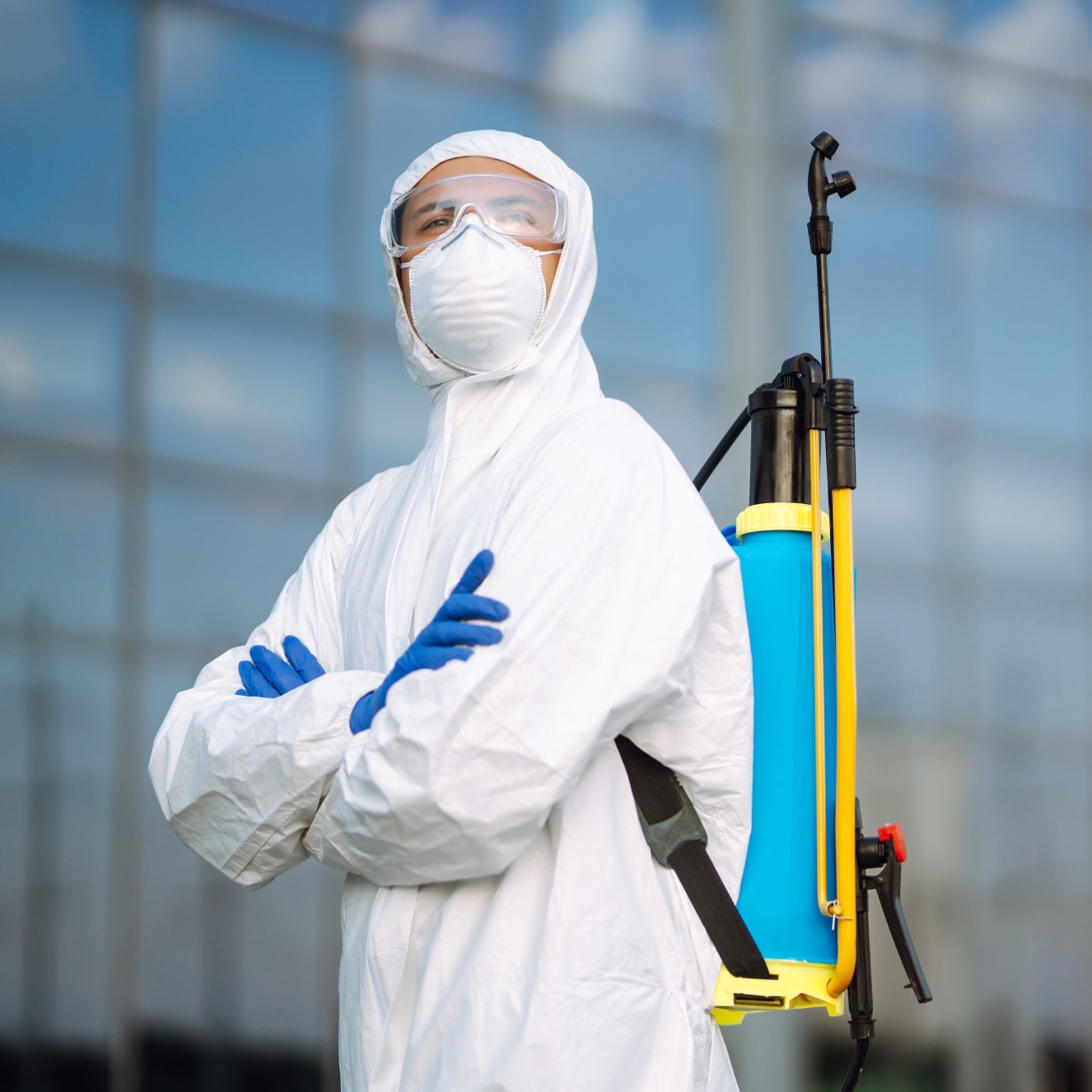 DD.Imper Controle de Pragas - Proteção completa para sua casa e empresa